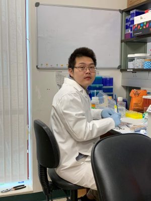Siqi Hu working