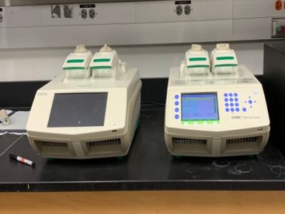 PCR